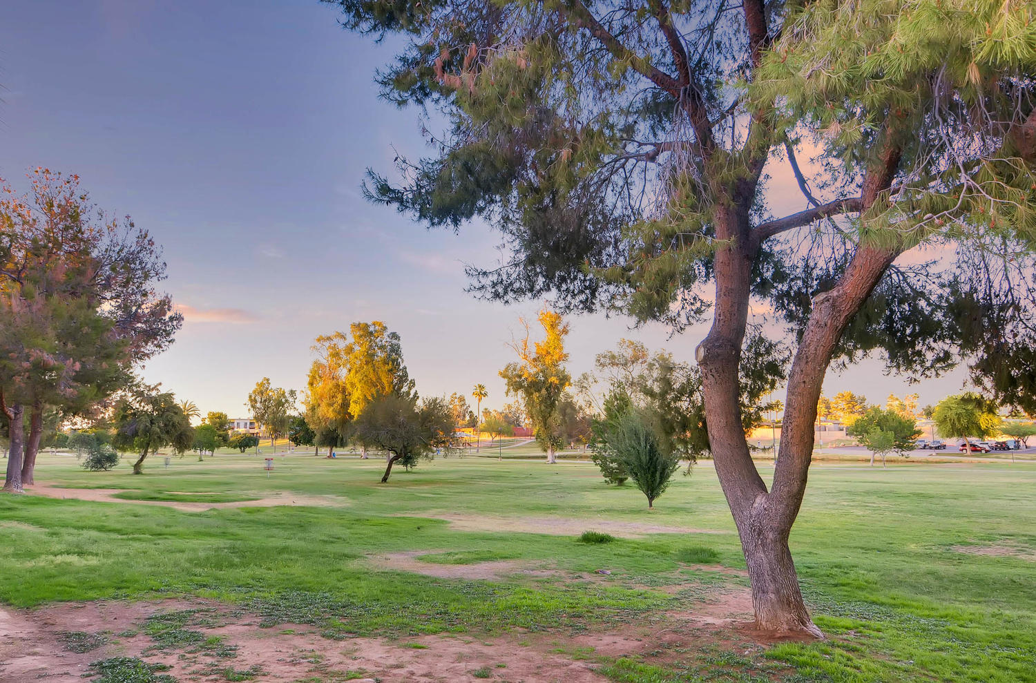 A large grassy field with trees and disc golf goals